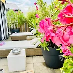 Appartement Loft Atypique 130 M2 Clim Patio Couvert Et Terrasse Pkg Gratuit Tram A 5mn A Pied Un Acces Direct Au Centre-ville *