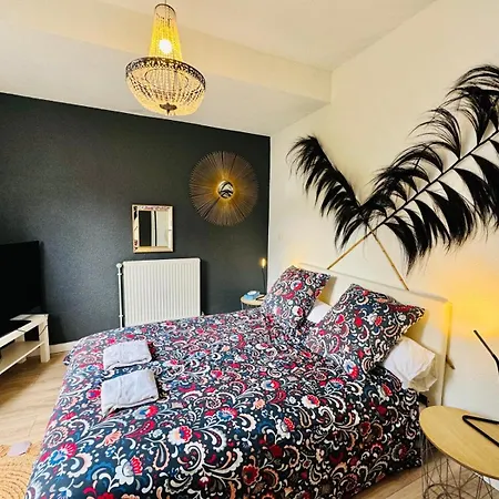 Apartmán Loft Atypique 130 M2 Clim Patio Couvert Et Terrasse Pkg Prive Inclus Gratuit Tram A 5mn A Pied Un Acces Direct Au Centre-ville