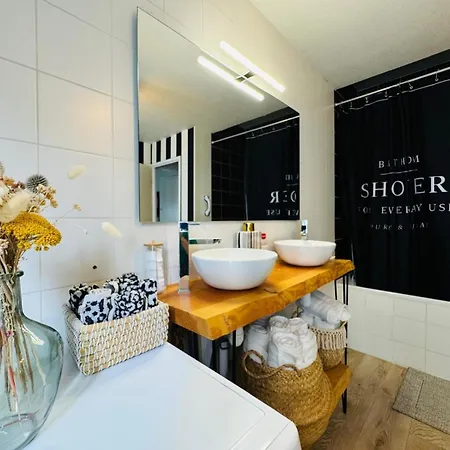 Apartmán Loft Atypique 130 M2 Clim Patio Couvert Et Terrasse Pkg Prive Inclus Gratuit Tram A 5mn A Pied Un Acces Direct Au Centre-ville *