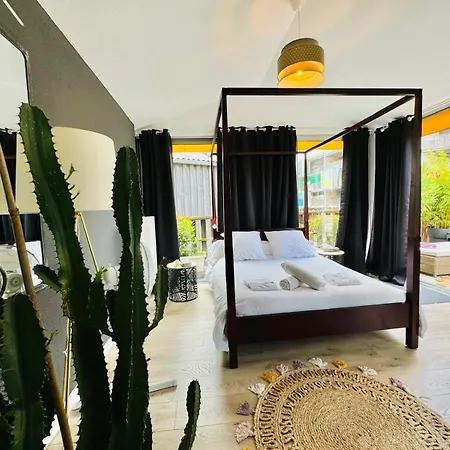 Loft Atypique 130 M2 Clim Patio Couvert Et Terrasse Pkg Prive Inclus Gratuit Tram A 5mn A Pied Un Acces Direct Au Centre-ville *