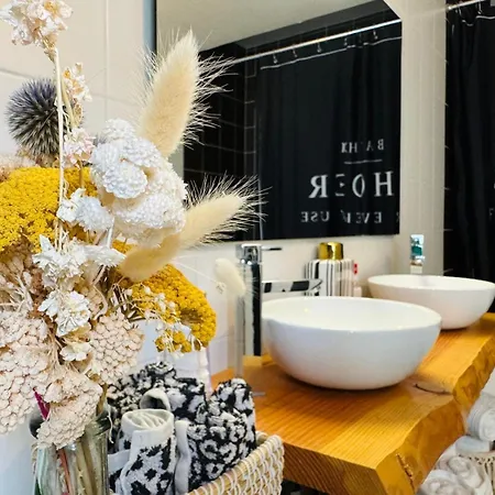 Loft Atypique 130 M2 Clim Patio Couvert Et Terrasse Pkg Gratuit Tram A 5mn A Pied Un Acces Direct Au Centre-ville Apartmán *