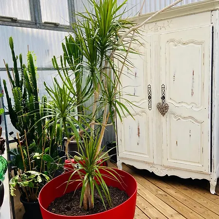 Loft Atypique 130 M2 Clim Patio Couvert Et Terrasse Pkg Prive Inclus Gratuit Tram A 5mn A Pied Un Acces Direct Au Centre-ville * Bordeaux