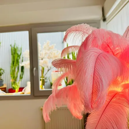 Loft Atypique13om2-salon De 40m2, Rooftop Et Patio Couvert Dep Tardif 13h-pkg Gratuit Prive Sur Place ,clim *